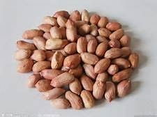 食物營(yíng)養(yǎng)冠軍榜——干果 小小的能量庫(kù)，大大的健康寶